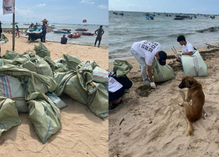 YSMB dan Seven Clean Seas Turun Tangan, Angkut 356 Kg Sampah dari Pantai Tanjung Benoa
