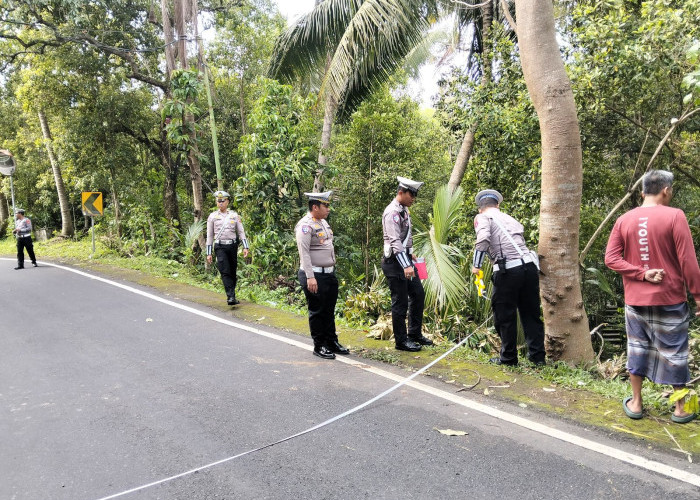Bawa Rombongan WNA, Minibus 'Of Out Control' 5 Orang Tewas
