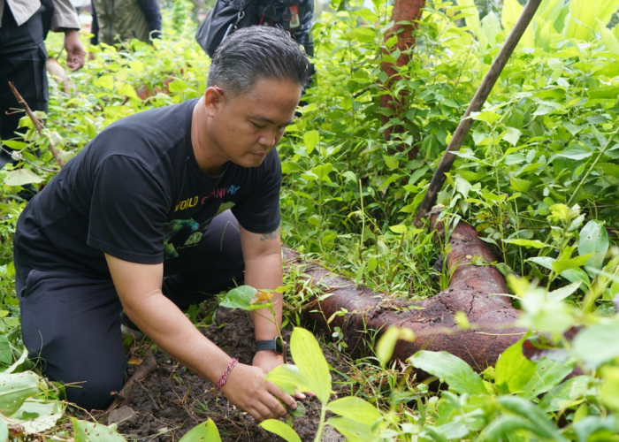 88 Pohon Ditanam di Desa Lokapaksa untuk Jaga Kelestarian Hutan dan Sumber Air