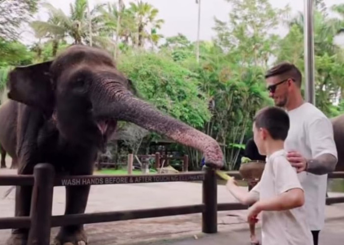 Setelah Dua Kali Peringatan Kemenhut, Mason Elephant Park Hentikan Elephant Riding