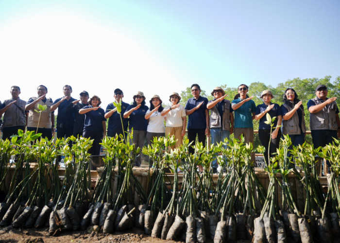 Peringati HUT ke-50, Perumdam Tirta Mangutama Badung Gelar Aksi Tanam 2.000 Mangrove