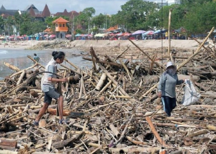 Angin Barat Picu Lonjakan Sampah Laut di Pantai Kuta, Pengangkutan Capai 30 Truk per Hari