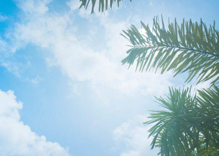 BMKG Update Prakiraan Cuaca di Bali Hari Ini Rabu 23 April 2025, Buruan Cek!