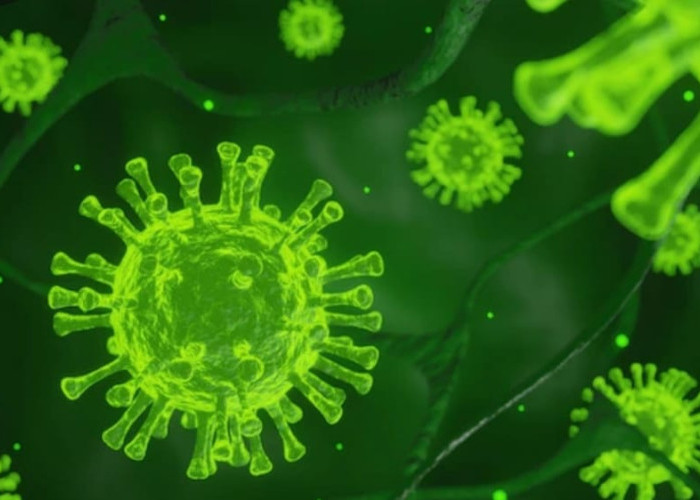 Dinkes Bali Temukan Dua Warga Denpasar yang Sempat Terinfeksi Super Flu