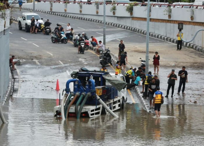 Frontier Bali Desak Gubernur Hentikan Proyek Alih Fungsi Lahan dan Benahi Sampah