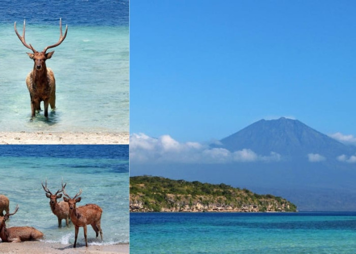 Bali Kembali Jadi Sorotan Dunia, Raih Gelar Pulau Terbaik di Asia 2025