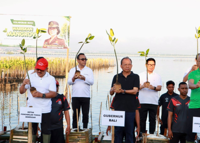 Walikota Jaya Negara Ikut Tanam Mangrove dan Pelepasan Burung di Tahura Ngurah Rai