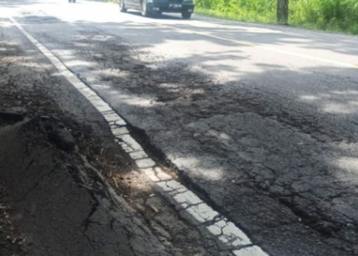 Miris! Kena Dampak Efisiensi Anggaran, Jalan Rusak di Gilimanuk Terpaksa Hanya Ditambal Saja