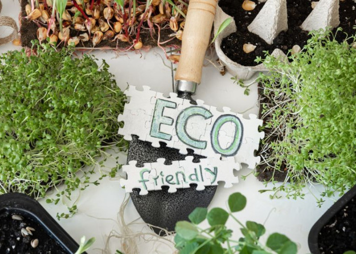 Ketika Kesederhanaan Jadi Gaya Hidup, Jalani Hidup Eco-Friendly Agar Lebih Bermakna