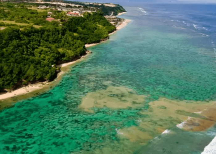 Surga Para Peselancar! Ini 7 Pantai Bali yang Patut Dijelajahi, Nikmati Liburan bersama Ombak Menantang