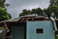 Angin Kencang Selasa Malam Picu Pohon Tumbang di Sejumlah Titik Buleleng