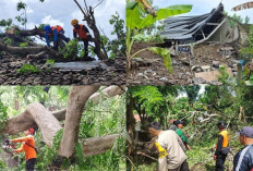 Cuaca Ekstrem Awal 2026, 58 Bencana Landa Karangasem dengan Kerugian Capai Rp 2 Miliar