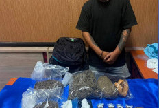 Pengedar Narkoba di Jimbaran Dibekuk, Polisi Sita Ganja 1,7 Kg
