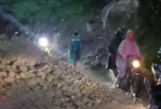 Diguyur Hujan Lebat, Sejumlah Titik di Pupuan Dilanda Longsor