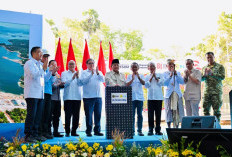 Gubernur Koster dan PLN Sepakati Percepatan Infrastruktur Energi Terbarukan