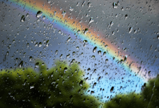 Prakiraan Cuaca Bali Senin, 05 Januari 2026: Hujan Warnai Aktivitas Sepanjang Hari