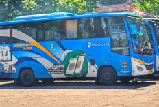 Rute Trans Sarbagita Denpasar–Bangli Kembali Beroperasi Mulai 1 April 2026