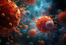 Dinkes Klungkung Perketat Screening Hantavirus di Nusa Penida