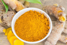 Rutin Konsumsi Kunyit, Ini 5 Manfaat Kesehatan yang Bisa Dirasakan Tubuh