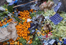 Menteri LH Tegaskan Sampah Organik Tak Boleh Lagi Masuk TPA Suwung