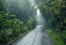 Prakiraan Cuaca Bali Minggu, 21 Desember 2025 Didominasi Hujan Disertai Petir