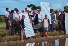 Petani Jatiluwih Cabut Seng Sawah Usai Pemkab Tabanan Tawarkan Moratorium