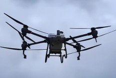 Petani Subak Jatiluwih Manfaatkan Drone untuk Percepat Pemupukan Padi