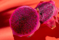 Sarapan Pakai Buah Naga? Ini Manfaat Sehatnya yang Jarang Disadari