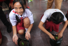 Program Ketahanan Pangan Berbasis Sekolah Digencarkan YSPN dan Pemkab Buleleng