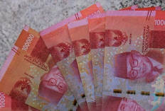 Pemprov Bali Bahas Kenaikan UMP 2026, Disnaker Ajukan 6,67 Persen