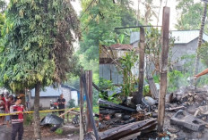 Warung di Karangasem Ludes Terbakar, Diduga Kompor Lupa Dimatikan