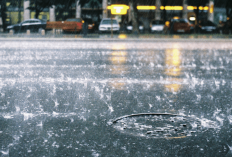 Prakiraan Cuaca Bali Minggu, 11 Januari 2026: Hujan Ringan hingga Lebat Disertai Petir