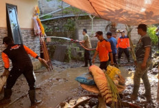 Banjir Bandang Terjang Pekutatan Jembrana, 16 Rumah Warga Terendam Lumpur