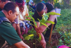 Pemkab Gianyar Tanam 300 Bibit Pohon di Hari Bumi 2026, Gaungkan 