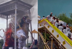 Singa Putih Bersayap Iringi Palebon Jro Mangku Gede Pura Payogan Agung Ketewel