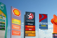 Pemerintah Hentikan Impor Solar, SPBU Swasta Diminta Serap Pasokan Pertamina