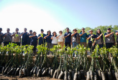 Peringati HUT ke-50, Perumdam Tirta Mangutama Badung Gelar Aksi Tanam 2.000 Mangrove