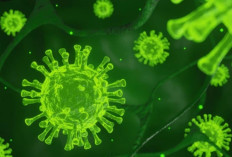 Dinkes Bali Temukan Dua Warga Denpasar yang Sempat Terinfeksi Super Flu