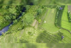 Resmi! DPRD Bali Larang Praktik Nominee, Alih Fungsi Lahan Produktif Kini Diperketat