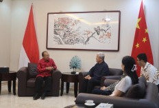 Bali–Tiongkok Perkuat Kerja Sama PSEL, Digitalisasi dan Ekspor Manggis